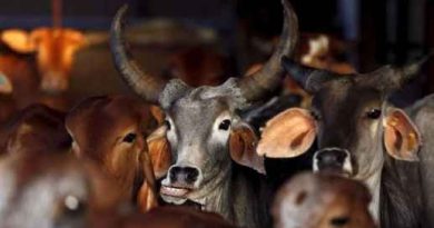 প্রকাশ্যে পশু জবাই নয়, পশু জবাইয়ের জন্য বৈধ শংসাপত্র থাকা বাধ্যতামূলক, নির্দেশিকা জারি পশ্চিমবঙ্গ সরকারের