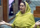 ‘দিল্লিতে কুমিরের কান্না, পাঞ্জাবে জিরো অ্যাকশন’, পাঞ্জাবে ৪ বছরে ৬টি প্রশ্নফাঁস নিয়ে AAP-কে টার্গেট করলেন আকালি দলের সাংসদ